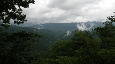 IMGP0239.jpg