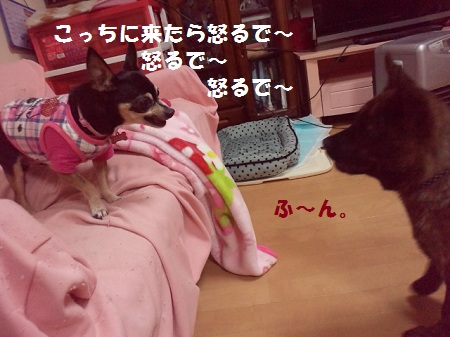 2013042022150001.jpg