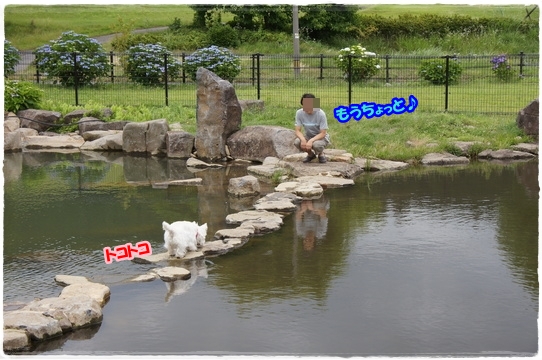 run4