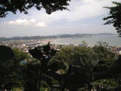 長谷寺からの眺望