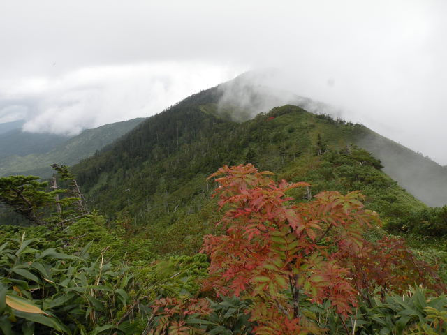 08 裏岩菅への稜線は秋の気配
