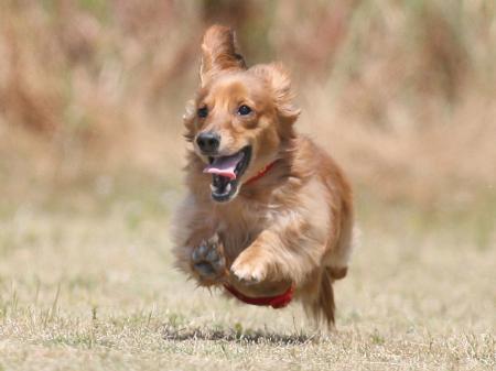 8234a82f_convert_20130527204915.jpg