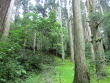平泉寺白山神社7