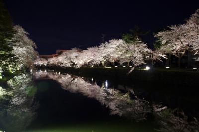 13夜桜