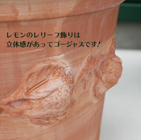 イタリアンテラコッタ・エスロッコ社の新商品入荷☆ - 輸入植木鉢専門
