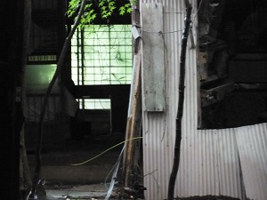 三春2013-07-13 001 2013-07-13 025