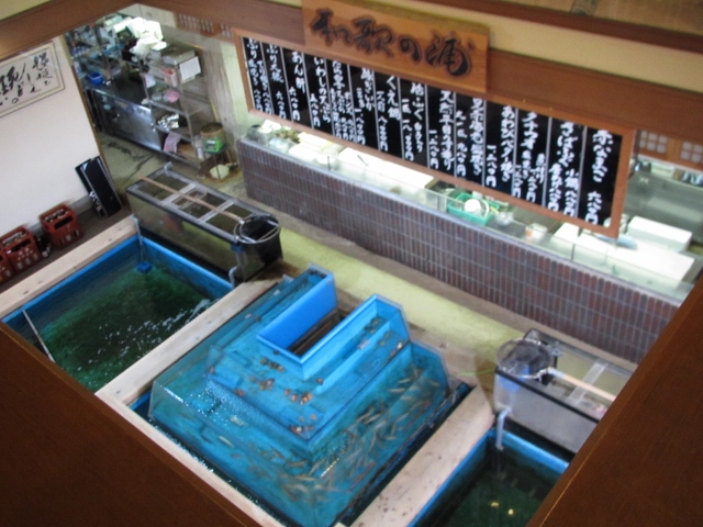 丸長 いけす