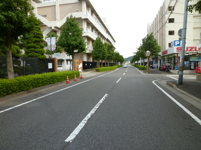 徳島文理大学前のメイン道路
