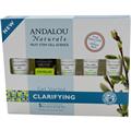iHerb Andalou Naturals, Get Started Clarifying, Skin Care Essentials, 5 Piece Kit