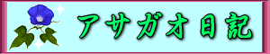 asagao-nikki-logo.gif