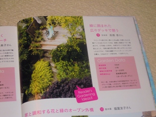 my-garden 010 (2)